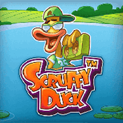 Scruffy Duck